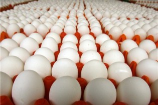 چرا از ترکیه تخم‌مرغ بی‌کیفیت وارد می‌کنیم؟