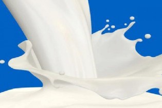 نرخ جدید شیرخام و لبنیات ابلاغ شد/افزایش ۱۹ درصدی قیمت شیرخام