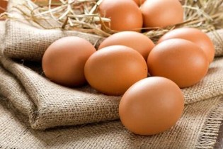 قیمت تخم مرغ روی شیب کاهشی/جمع‌آوری تخم‎‌مرغ مازاد