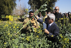 بازدید سرپرست وزارت جهاد کشاورزی از طرح های کشاورزی شوش