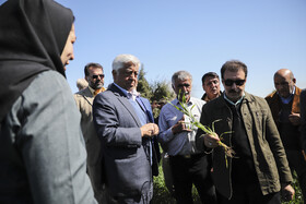 بازدید سرپرست وزارت جهاد کشاورزی از طرح های کشاورزی شوش