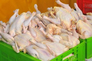 کاهش قیمت مرغ تازه در میادین میوه و تره بار به ۸۸۰۰ تومان