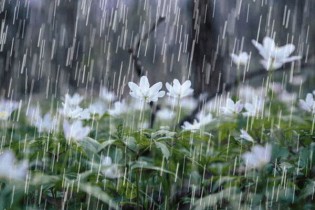 تداوم بارش ها تا پایان هفته/ پیش بینی یخبندان در اردبیل و خراسان