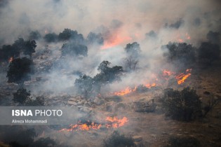 بازداشت عاملان آتش‌سوزی جنگل‌های "خائیز"