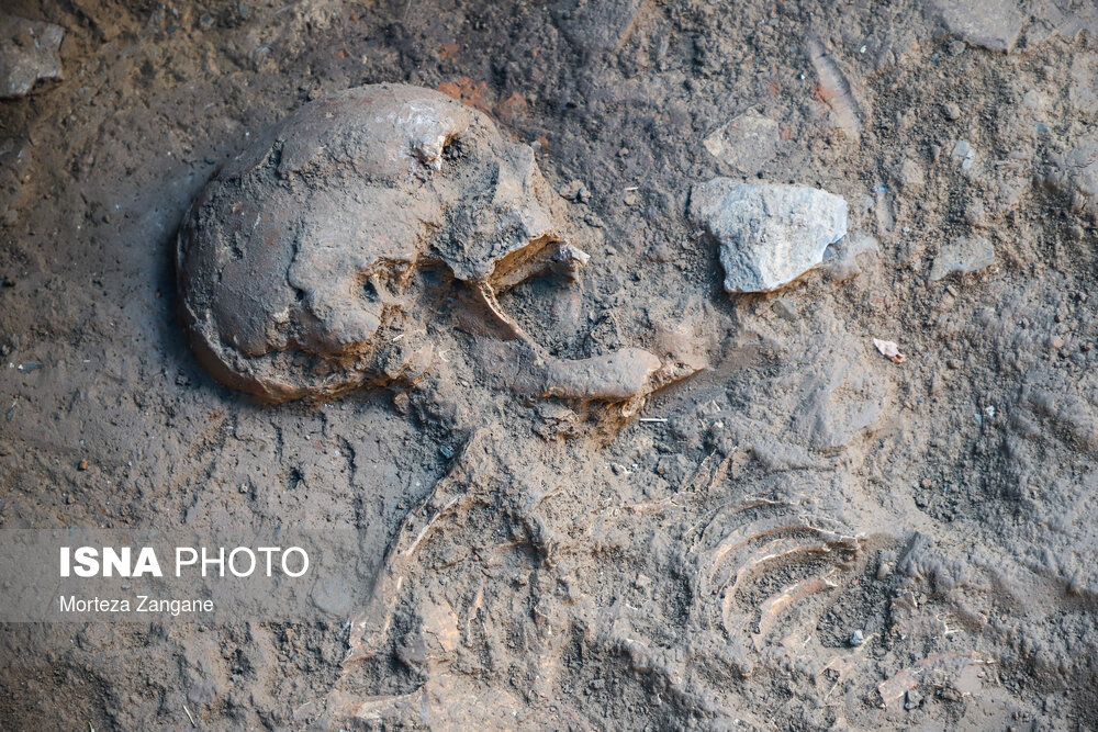 کشف اسکلت یک زن متعلق به دوره اشکانی در تپه اشرف اصفهان