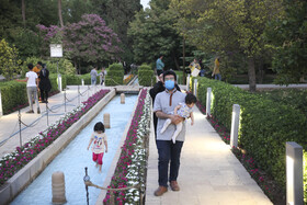 علی‌رغم قرار داشتن فارس در وضعیت قرمز، همچنان اماکن گردشگری در شیراز باز و پذیرای گردشگران است.(باغ ارم)