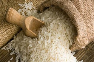 جنجال برنج های دپو شده جمع شد/ ترخیص از امروز