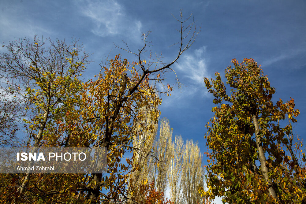 پاییز در دامنه کوه وتوس - روستای کهندان قم