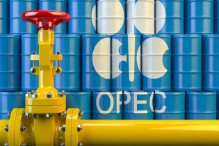 قیمت سبد نفتی اوپک از ۴۳ دلار گذشت