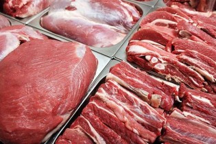 افزایش عرضه گوشت قرمز