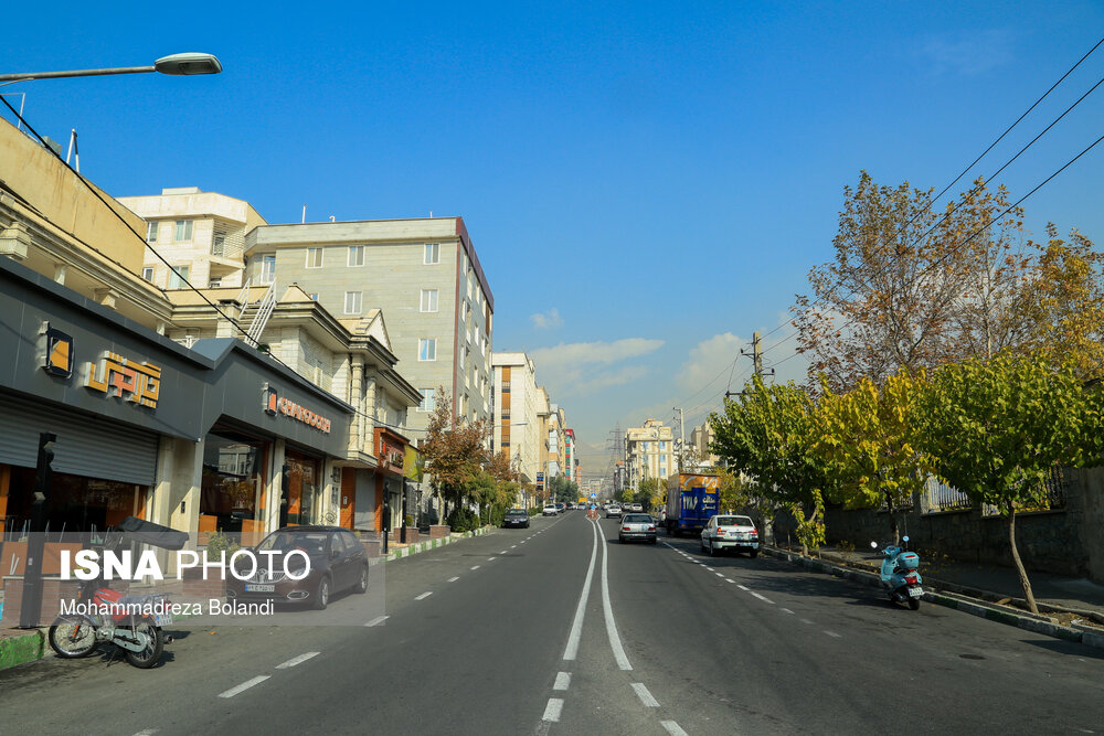 خیابان شهید خیابانی که در گذشته وسک نامیده می‌شد از خیابان‌های اصلی شهران به شمار می‌آید. این خیابان تا سال قبل کاملا مسکونی بود اما در سال‌های اخیر و با افزایش ساختمان‌سازی تعداد مغازه‌های آن افزایش پیدا کرده که همین باعث ایجاد ترافیک در ساعات پایانی روز در این خیابان می‌شود.