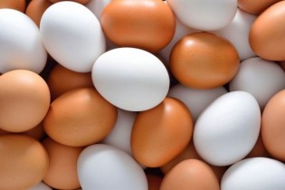 تفاوت قیمت تخم مرغ در شهر و میادین؛ 12 تا 17 هزار تومان