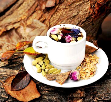 گل گاوزبان کبد را مسموم می کند