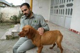 چرا در زمینه حمایت از حیوانات و حیوان آزاری با خلاء قانونی مواجه هستیم؟ <img src="/images/video_icon.gif" width="16" height="13" border="0" align="top"> چرا در زمینه حمایت از حیوانات و حیوان آزاری با خلاء قانونی مواجه هستیم؟ <img src="/images/video_icon.gif" width="16" height="13" border="0" align="top">