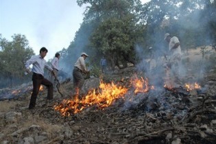 فیلم/مهار آتش در جنگل با دستان خالی!