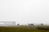 تصاویر / مناظر شگفت انگیز "ماسال"