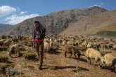 تصاویر / گزارش الجزیره از قاچاق در مرز ایران و عراق