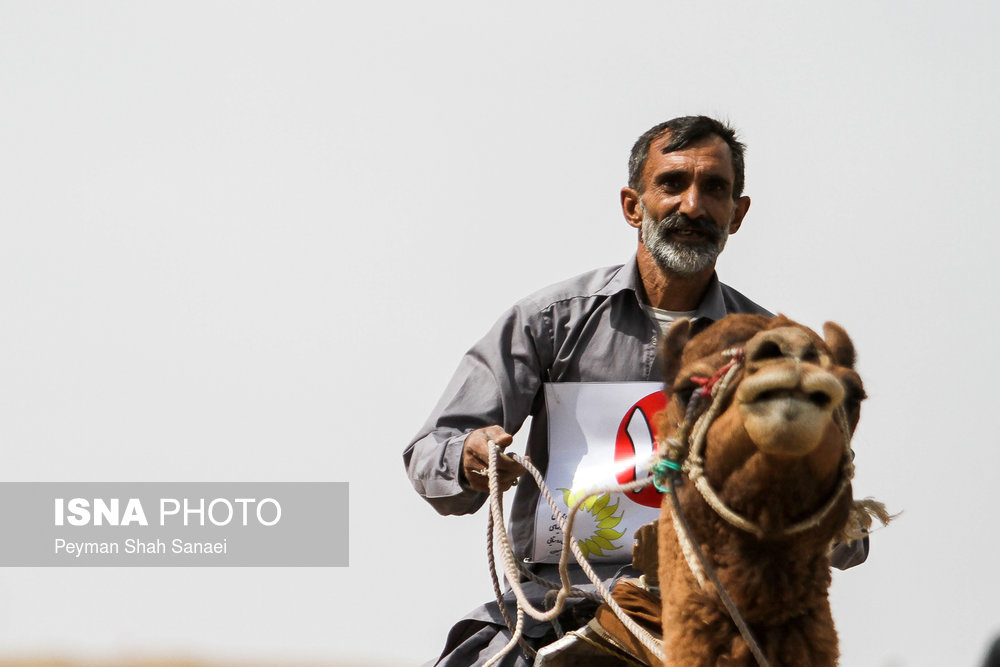 مسابقات شتر سواری قهرمانی کشور