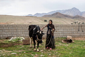 فاطمه 15 ساله ساکن روستای انبار سفید در شهرستان لالی است. او تا کلاس ششم درس خوانده است. نزدیک‌ترین مدرسه در مقطع متوسطه اول (راهنمایی) در روستای تراز، در 2 کیلومتری آن‌ها، واقع شده است. از آن‌جایی که کلاس‌های این مدارس در مقطع متوسطه اول به صورت مختلط  برگزار می‌شود، خانواده‌ها مانع ادامه تحصیل این دانش‌آموزان می‌شوند. حدود 8 دختر در این روستا به همین دلیل ترک تحصیل کرده‌اند.