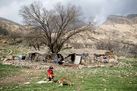 آمنه 8 ساله و اهل روستای دمه در شهرستان اندیکا است. او به مانند برادر پانزده ساله‌اش جمعه به مدرسه  نرفته است.  فقر مالی خانواده  و دور بودن مدرسه عامل بازماندگی از تحصیل آمنه است.