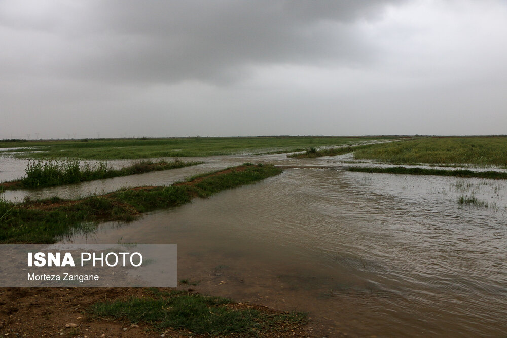 سیل در دهستان شعیبیه ـ شوشتر