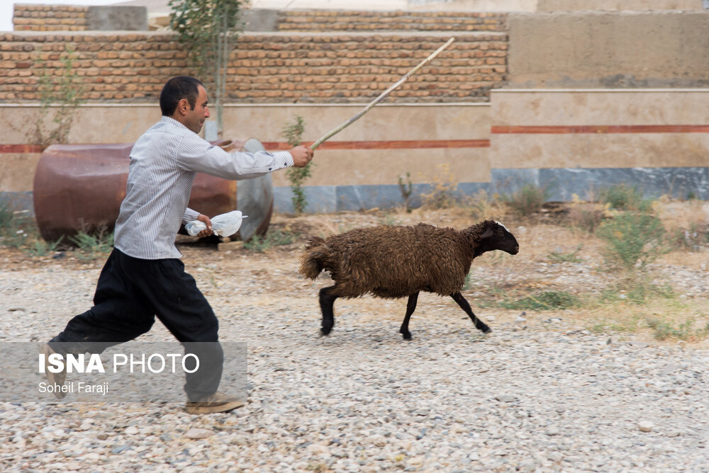 عید قربان در روستای «کهلا»