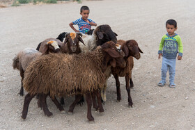 عید قربان در روستای «کهلا»