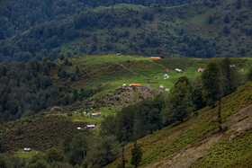 ایران زیباست؛ «نم نمه پشت»