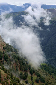 ایران زیباست؛ «نم نمه پشت»