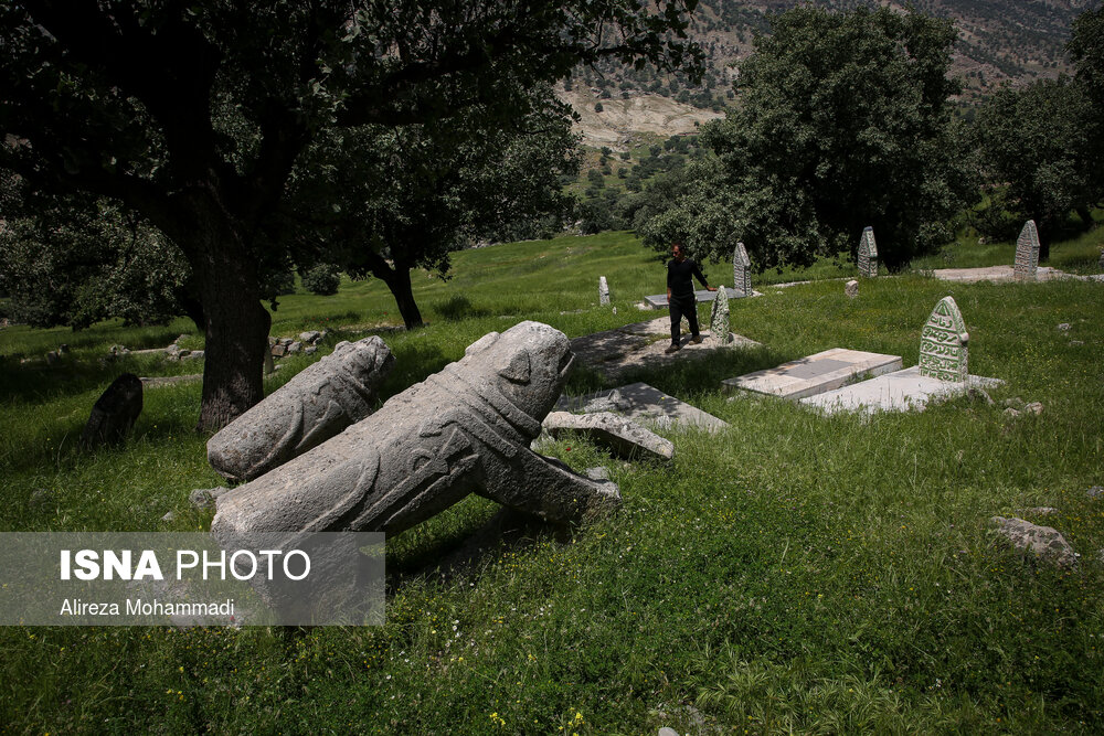 بختیاری ها در زبان محلی خود به این شیرهای پابرجا «بردشیر» می گویند که بخش نخست این واژه به معنی سنگ است و در مجموع همان شیرسنگی معنا می دهد.