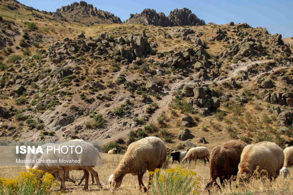 طبیعت ارتفاعات روستای مزرعه و قلعه شیور