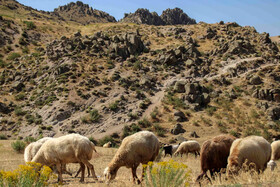 طبیعت ارتفاعات روستای مزرعه و قلعه شیور