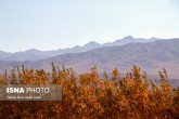 تصاویر / ایران زیباست؛ پاییز در روستای «سکنج» کرمان