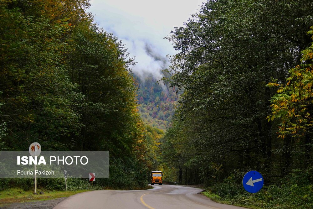 پاییز در جنگل های «هیرکانی» گیلان