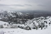 تصاویر / بارش برف در گیلان؛ روستای «تابستان نشین»  <img src="/images/picture_icon.gif" width="16" height="13" border="0" align="top">