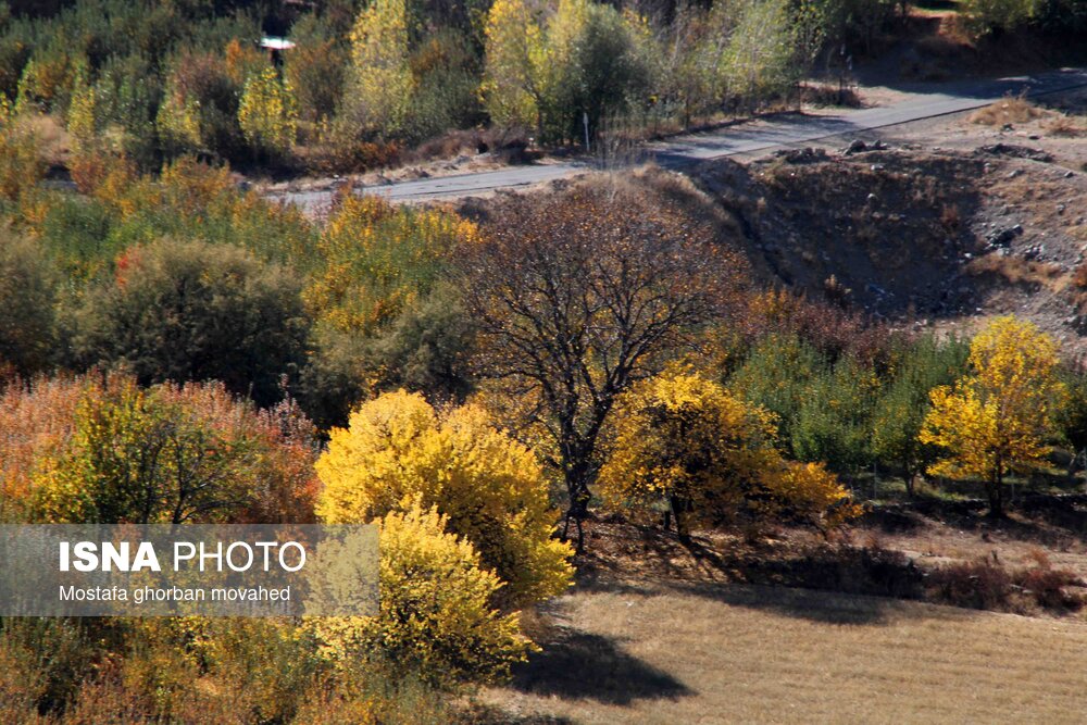 پاییز هزار رنگ در مناطق روستایی و عشایری اهر