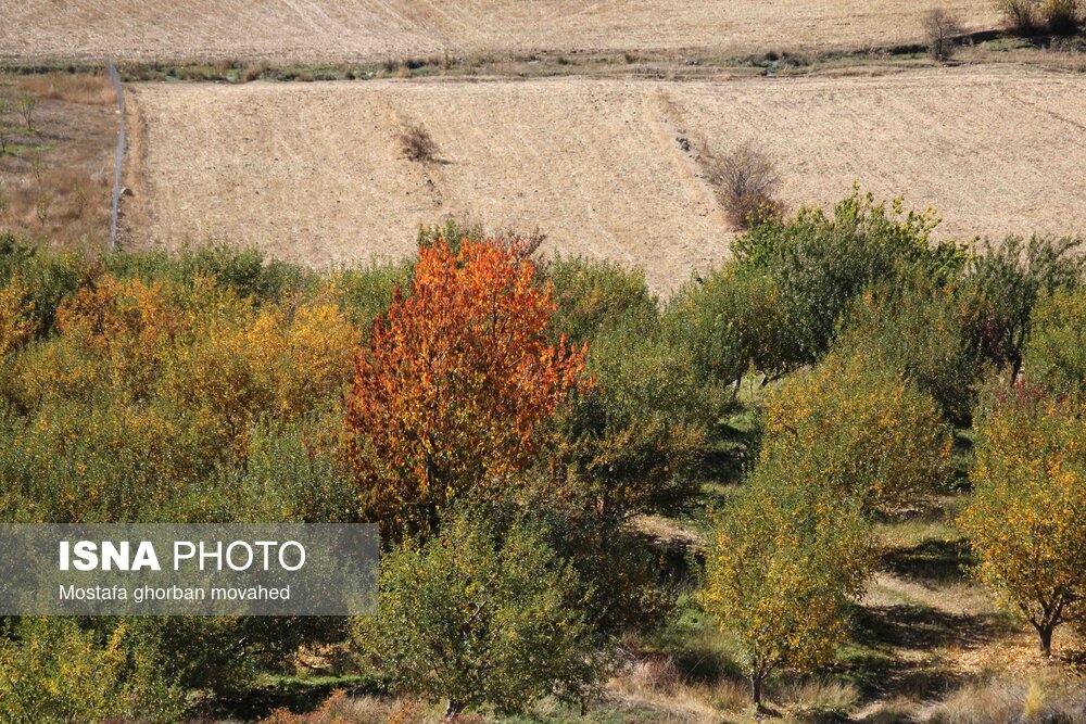 پاییز هزار رنگ در مناطق روستایی و عشایری اهر