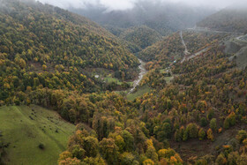 جاده پونل به خلخال یکی از جاده های جنگلی و زیبای کشور است که روستای پونل در شهر رضوانشهر استان گیلان را به شهر خلخال در استان اردبیل وصل می کند.