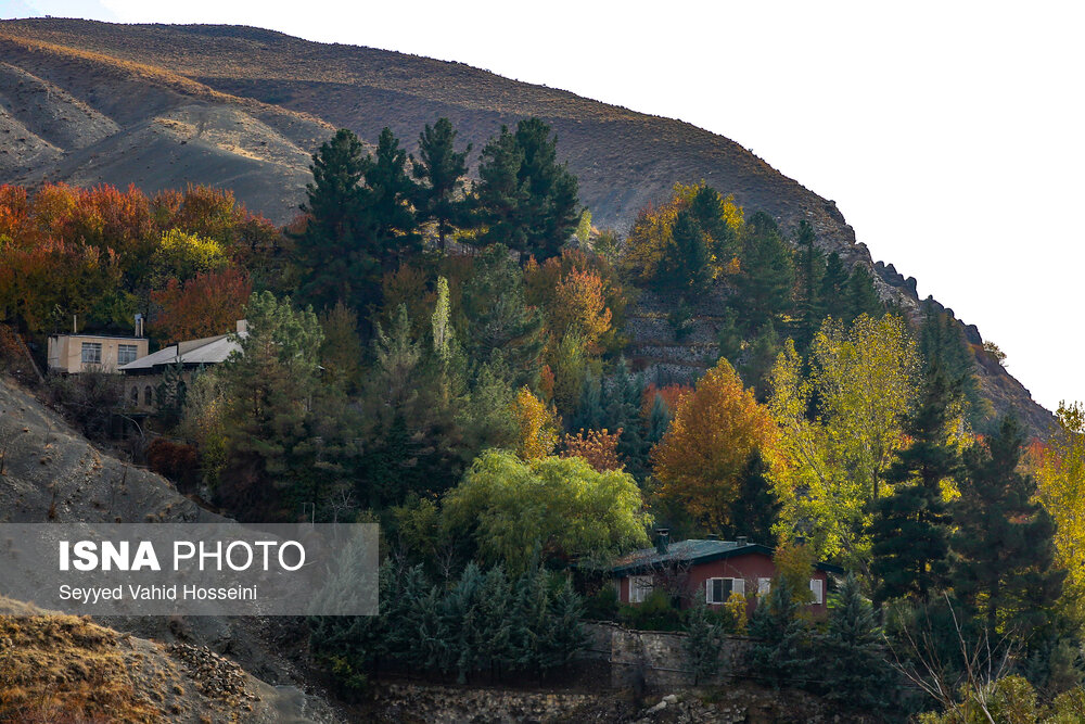 ایران زیباست؛ پاییز روستای «افجه»