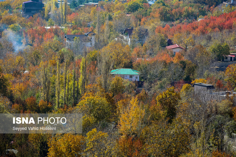 ایران زیباست؛ پاییز روستای «افجه»