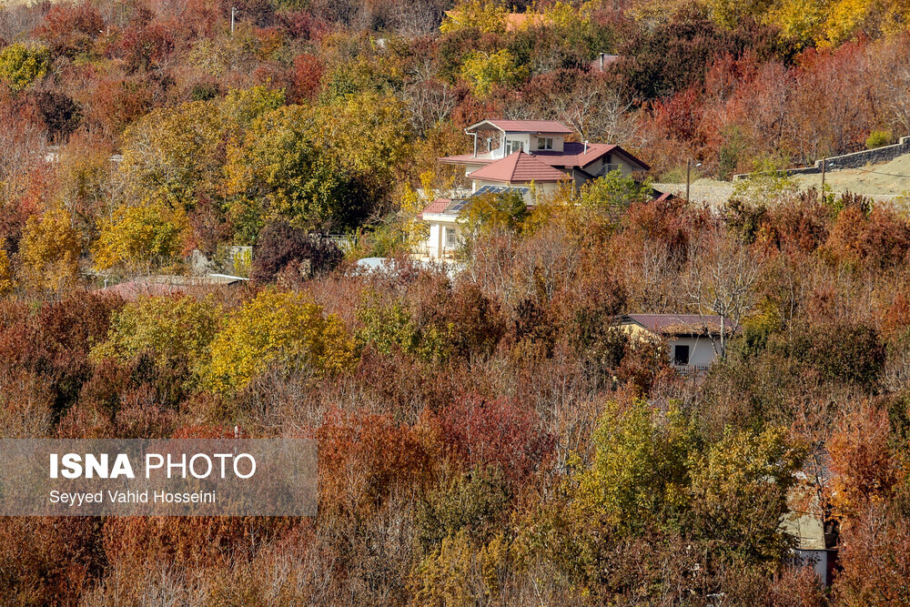 ایران زیباست؛ پاییز روستای «افجه»