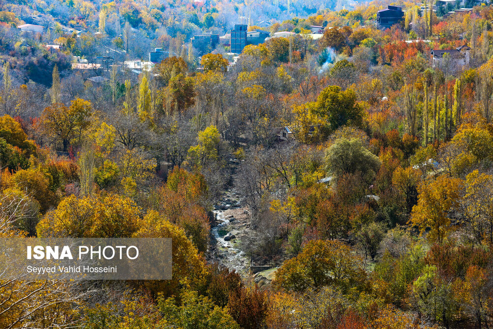 ایران زیباست؛ پاییز روستای «افجه»