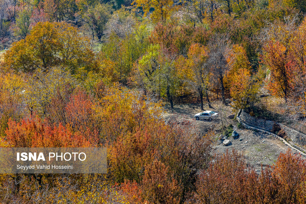 ایران زیباست؛ پاییز روستای «افجه»