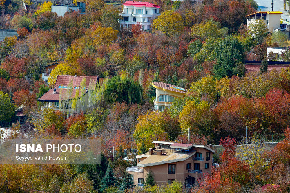 ایران زیباست؛ پاییز روستای «افجه»