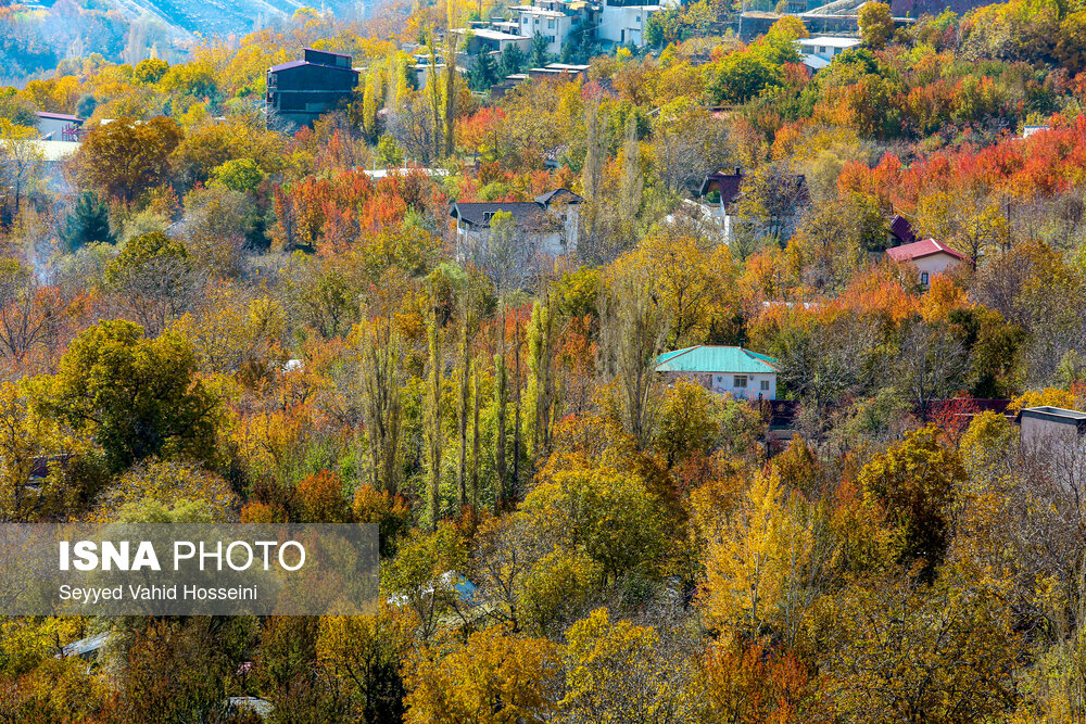 ایران زیباست؛ پاییز روستای «افجه»