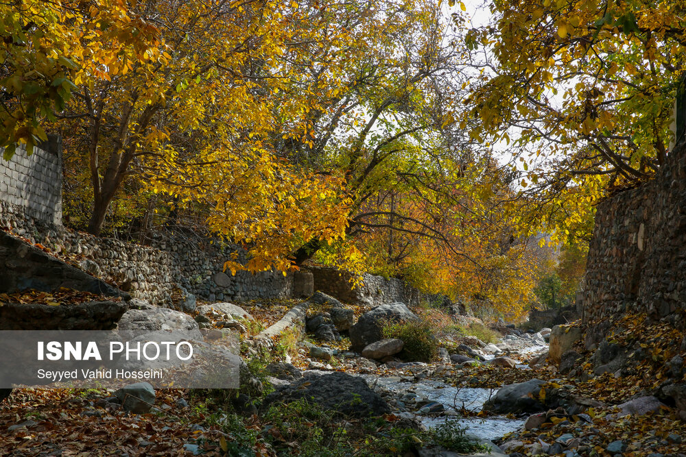 ایران زیباست؛ پاییز روستای «افجه»