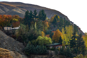 ایران زیباست؛ پاییز روستای «افجه»