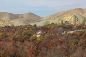 ایران زیباست؛ پاییز روستای «افجه»