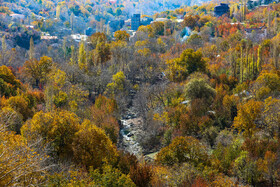 ایران زیباست؛ پاییز روستای «افجه»