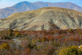 ایران زیباست؛ پاییز روستای «افجه»